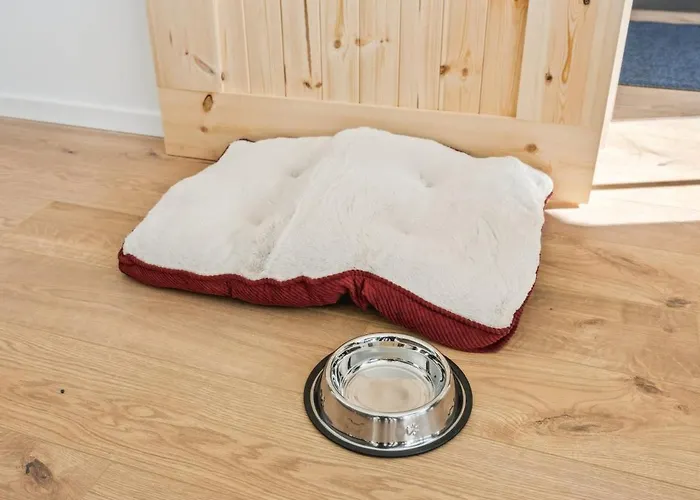 公寓 Ddhomes- Firmen & Monteure App - 6 Pers,balkon,zentral, Smarttv *